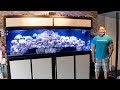 Chris' Philippine Reef Chris' Philippine Reef