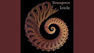 My Contribution to Society