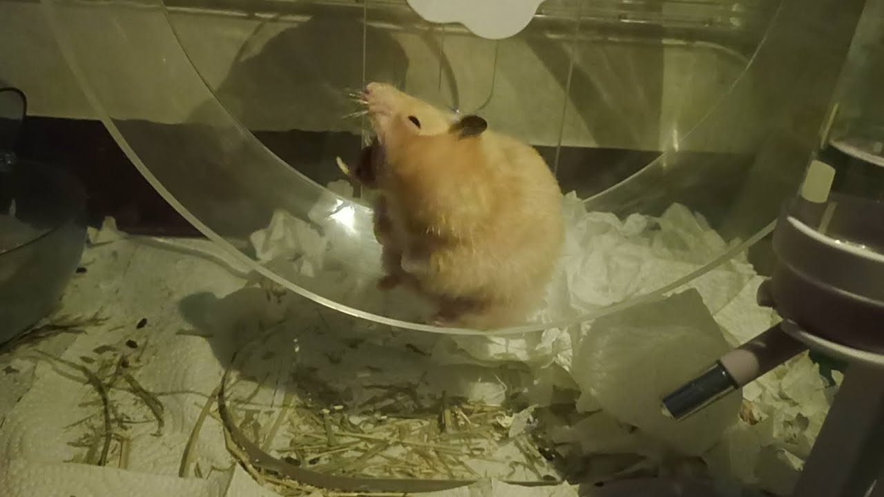 2025/7~10月（多影片