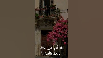 تلاوة من سورة الشورى #سورة_الشورى #القرآن_الكريم #تلاوة_خاشعة #حالاتواتساب #تلاوة