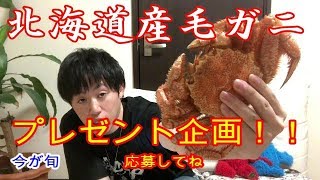 【プレゼント企画！】北海道稚内産毛ガニ（茹で方･捌き方・食べ方）100