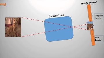 Fung Institute, Master of Engineering Capstone Project Pitch for Mini-actuator in smartphone