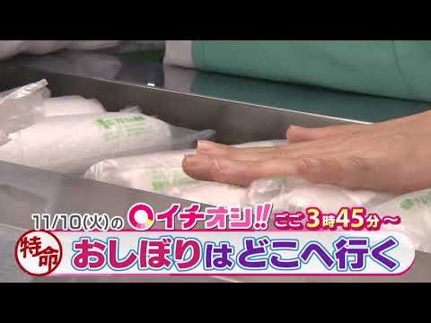 【公式】11月10日（火）イチオシ！！　番組予告