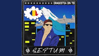Dragostea Din Tei - Septum