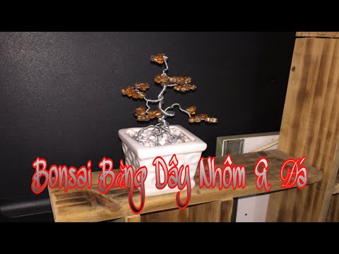 #40* handmade/bonsai/#ở nhà làm bonsai đá phong thuỷ/#với tôi