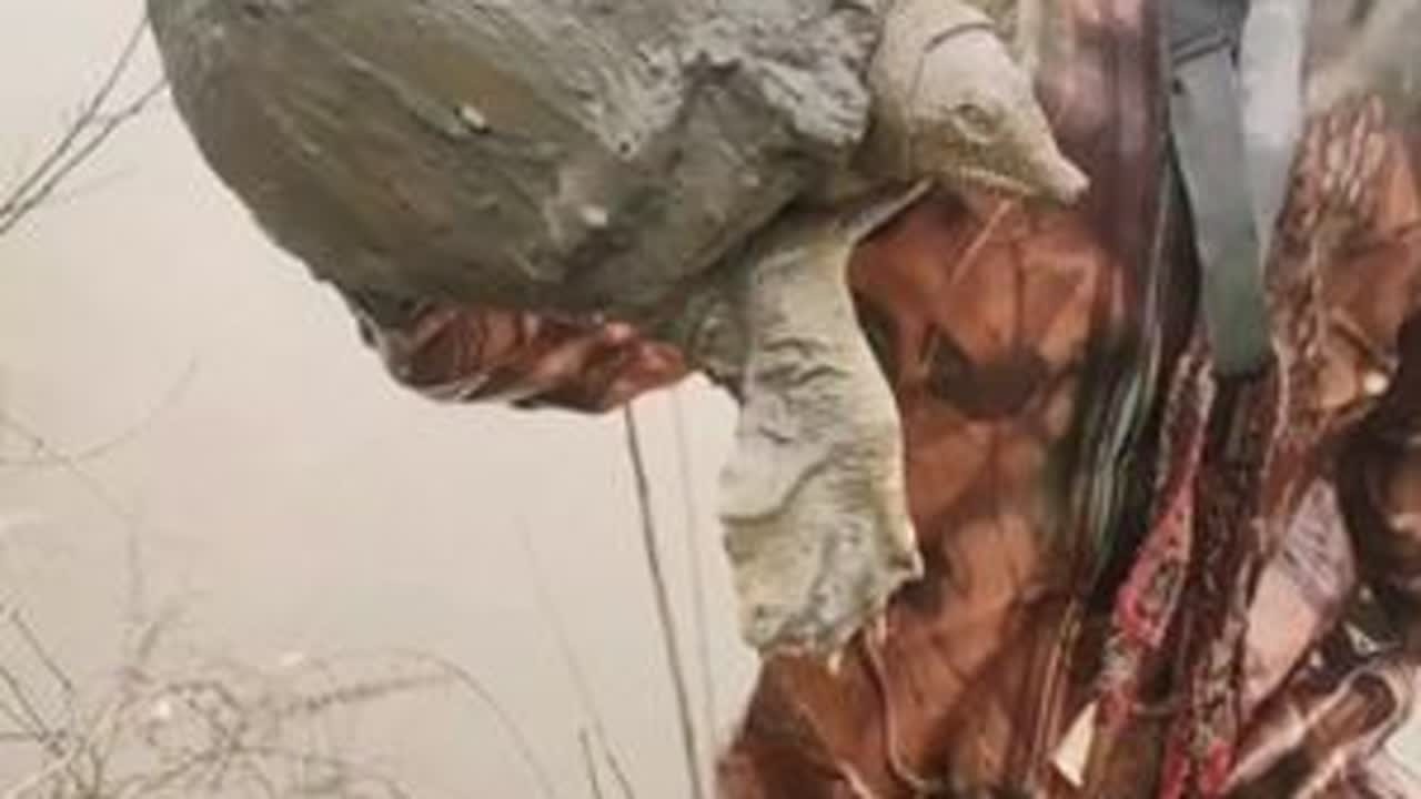 抓甲鱼   四千五包了个甲鱼还有鱼的小塘。感恩@大水猫 送的下水衣#记录真实生活 #现场实拍