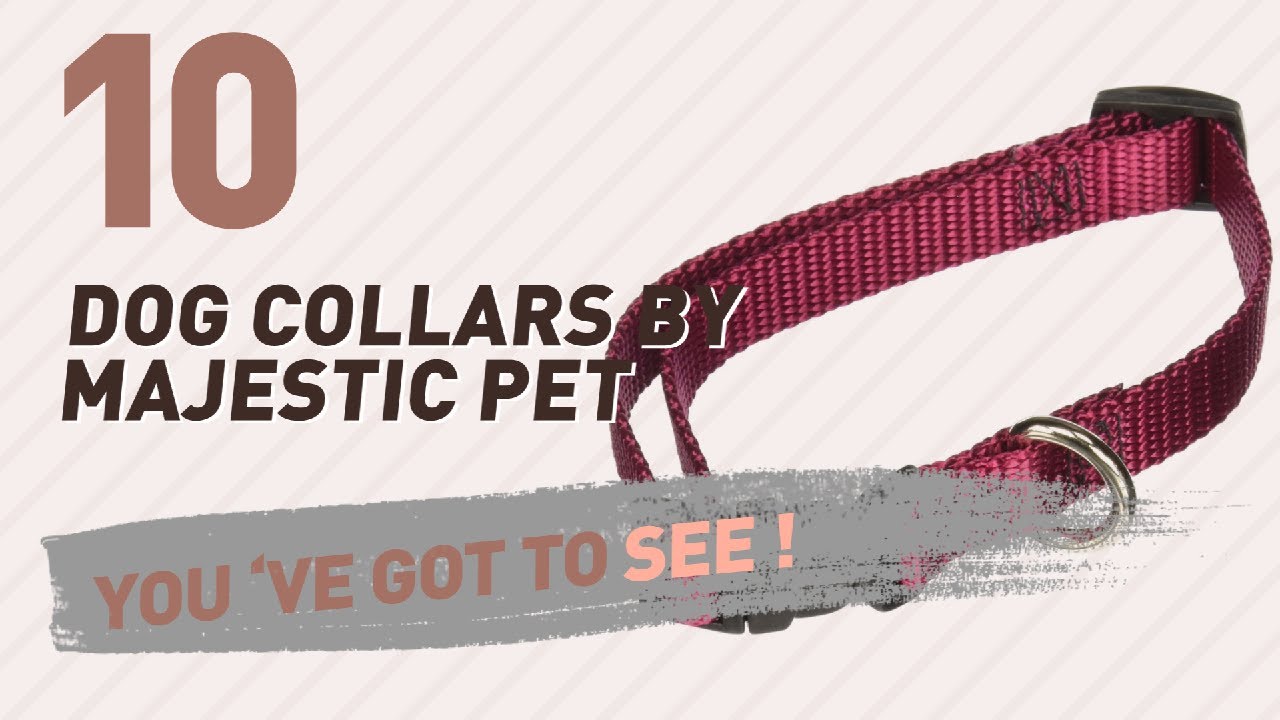 cats inn Dog Collars By Majestic Pet // Top 10 Most Popular