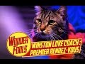 Winston love coach  le premier rendezvous