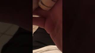 KillerBee ball python Wobble