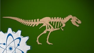 Adaptations and Fossils: MEA 4th Grade Series @ChaoticGoodChris