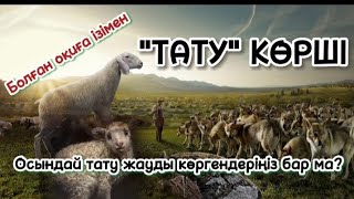 "ТАТУ" КӨРШІ (болған оқиға ізімен) @audiotaspa Осындай тату жауды көргендеріңіз бар ма?