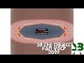 Waterfall Whale Red Monster Effects Round 3 VS RB AFC LTPKF AXFC Paris 2992 M E 3 9 