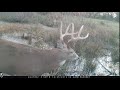 AWESOME Trail Cam VIDEO Compilation