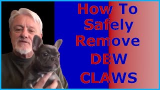 DIY, Removing Dew Claw From You Dog/Puppy