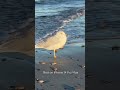 Shot on iphone 14 pro max iphone14promax shotoniphone beach camera