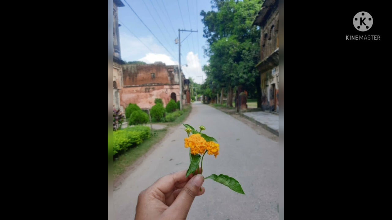 Chand Baliyan || Cover || KaLpO NiK