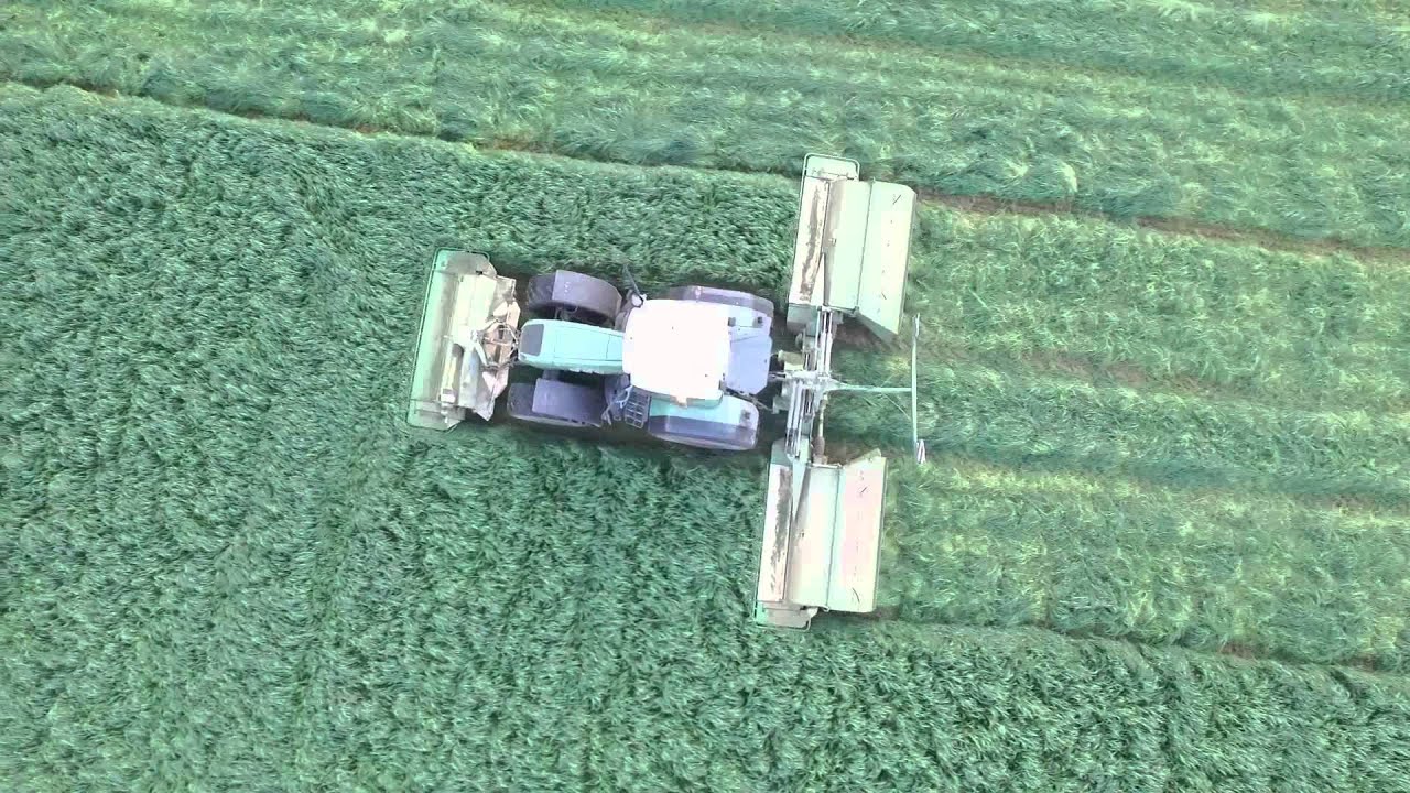 'The Way We Cut' Crib House Farm 2015 YouTube