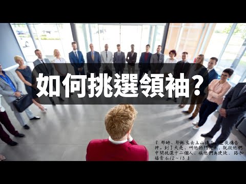 每日親近主 EP80| 如何挑選領袖?  (路加福音6:1~26)