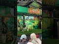 Salsa Dance #puddle #dancing #salsadancing #zoo #bandungzoo