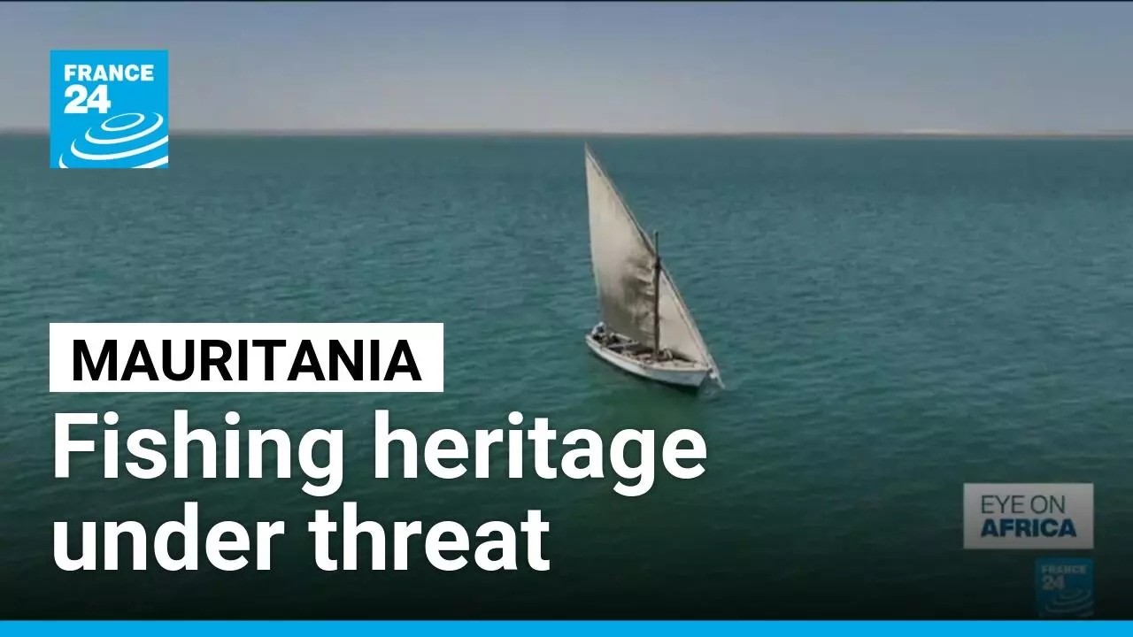 Mauritania's fishing heritage threatened by climate change and overfishing • FRANCE 24 English