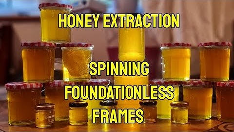 Honey Harvesting. Spinning foundationless frames! #honeybees #bees #rawhoney #honey #beekeeping