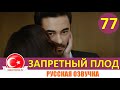 Запретный плод 77 серия на русском языке. 4 сезон [Фрагмент №1]