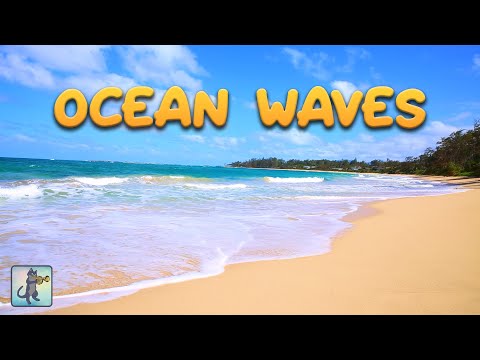 10 Hours of Ocean Wave Sounds 🌊 White Noise for Sleeping, Studying & Relaxing