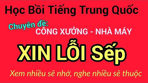 Sếp làm việc quá dập khuôn tiếng trung là gì năm 2024