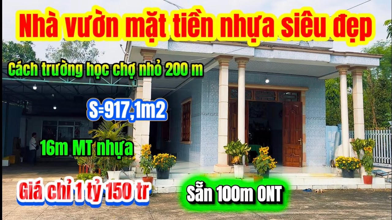 599🌹 siêu phẩm Nhà vườn rộng rãi thoáng mát MT nhựa ￼cách trường học chợ 200 m 16x63x64 có 100m ONT