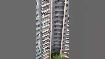 Monkey climbing a building!