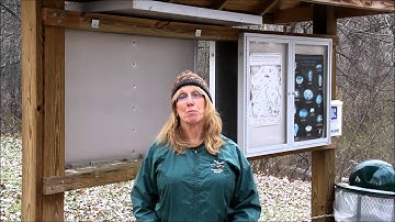 Importance of Riparian Buffer