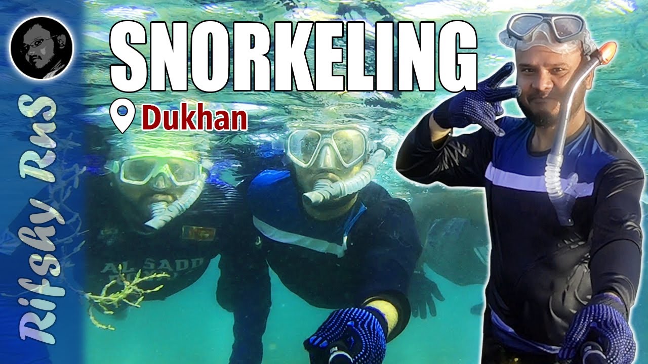 Snorkeling in Qatar Dukhan YouTube