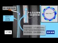 观察密封面产生的负压领域对流体的吸回效果的结果 の動画、YouTube動画。