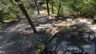 Sketchy drop through the trees Mount 7