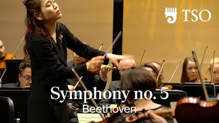 Ludwig van Beethoven: Symphony no. 5