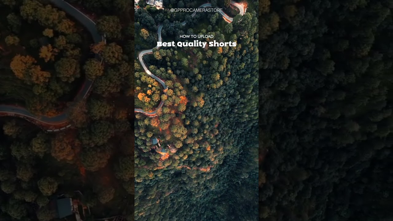 I Could Be Red I Could Be Yellow Shorts Viral Viralshorts Satisfying - YouTube Auto PHP Script