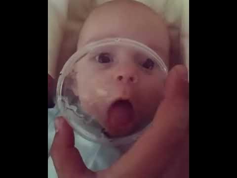 Малыш облизывает крышку с мёдом😄🐻 - YouTube