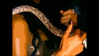 ANIMATION (AALIYAH)-  We Need A Resolution