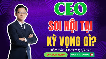 CỔ PHIẾU CEO – SOI NỘI TẠI – KỲ VỌNG GÌ? | BÓC TÁCH BCTC Q3/2025