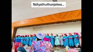 Despatch Senior Youth Choi