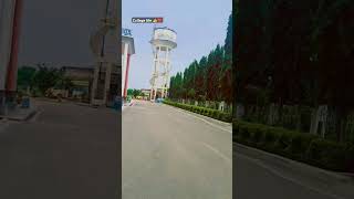 Sikar