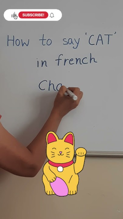 how-to-say-cat-in-french-india-france-learn-viral-viralvideo