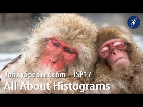 JSP 17 - Talking Histograms