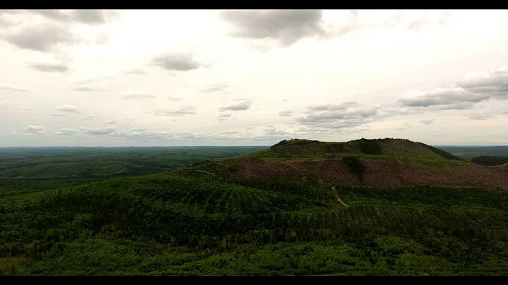 Forest Cover Loss in North West New Brunswick : Mo...