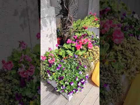 Пасхальное оформление площадки «Московские сезоны» #пасха #пасха2024 #москвакрасивая