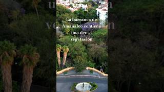 Este lugar contiene una densa vegetación. #BarrancaDeAmanalco #Cuernavaca #morelos #méxico 📸🚗🇲🇽🎶