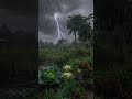 🌿✨ Lluvia y paz natural 🌧️#PaisajeNatural #Lluvia #Shorts