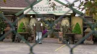 A Terrorist Goes Shopping Legally Brown