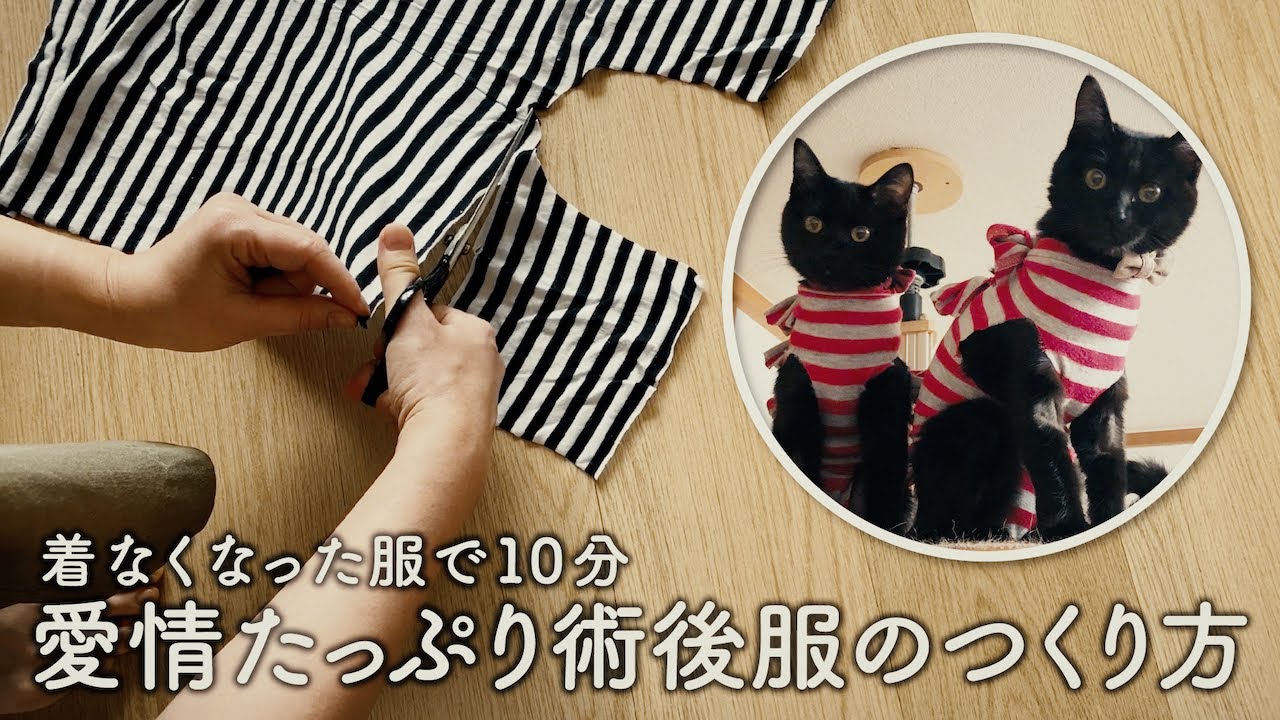 ソーセージ 異常な に賛成 猫 服 作り方 簡単 Memorialpicture Jp