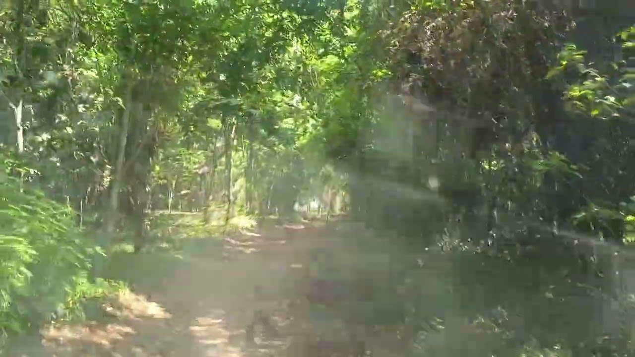 Where Forest Meets Savannah - #PeopleAndNature, #LivingLandscapes, #HarmonyWithNature,